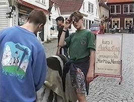 Furs for sale at Marken, Bergen - something we wouldn't normally see in the UK